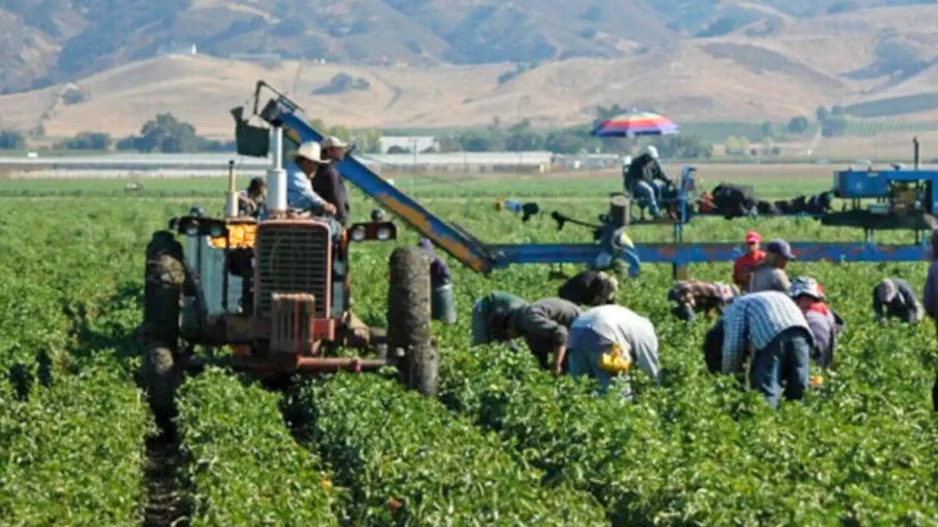 trabajadores del campo en estados unidos